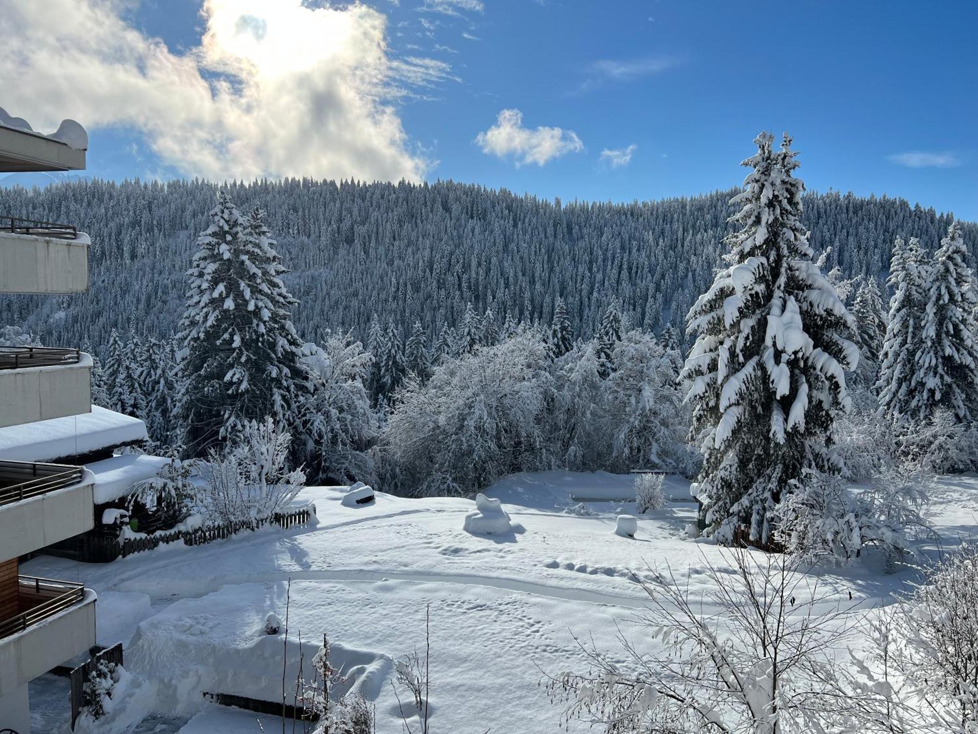 Haus Am Waldrand 3* Flims